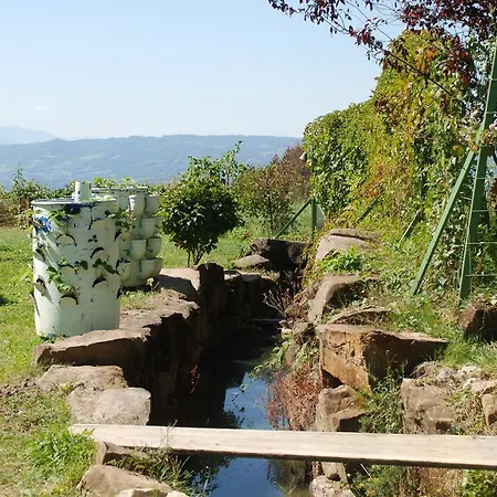 Le Mouton Dore * Bonne-sur-Ménoge